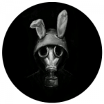 Rabbit Web Apk