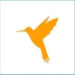 HttpCanary Apk