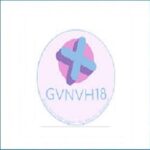 GVNVH18 Tool