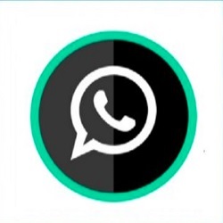 GP WhatsApp Apk