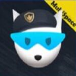 FlashDog Apk