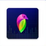 Lovi Mod App