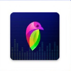 Lovi Mod App