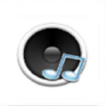 Music Junk Apk