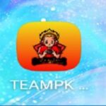 Teampk ESP App