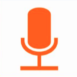 Wo Mic Pro APK