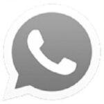 OG WhatsApp Pro App