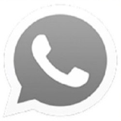 OG WhatsApp Pro App