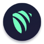 Argo VPN Apk