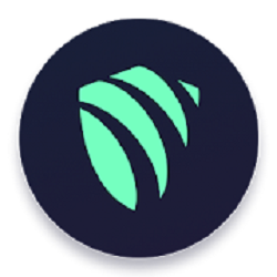 Argo VPN Apk