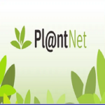PlantNet Plant Identification Apk