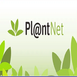 PlantNet Plant Identification Apk