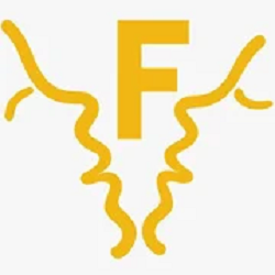 Feneo Movies Apk