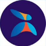 P2Braz Apk