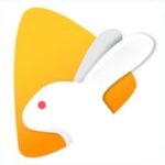 Bunny Live Apk