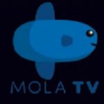 Mola Tv Apk