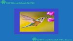 Hummingbird Game
